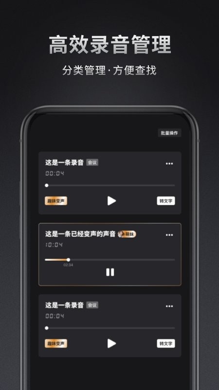 手机录音机专家截图3