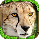 猎豹模拟器游戏(Cheetah Sim)v1.1