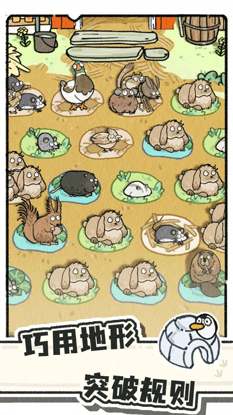 猫神牧场官方正版截图4