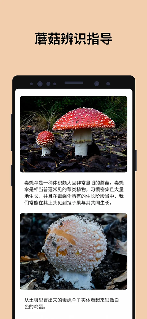 蘑菇识别扫一扫APP截图5