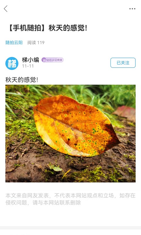 云阳梯城网截图2