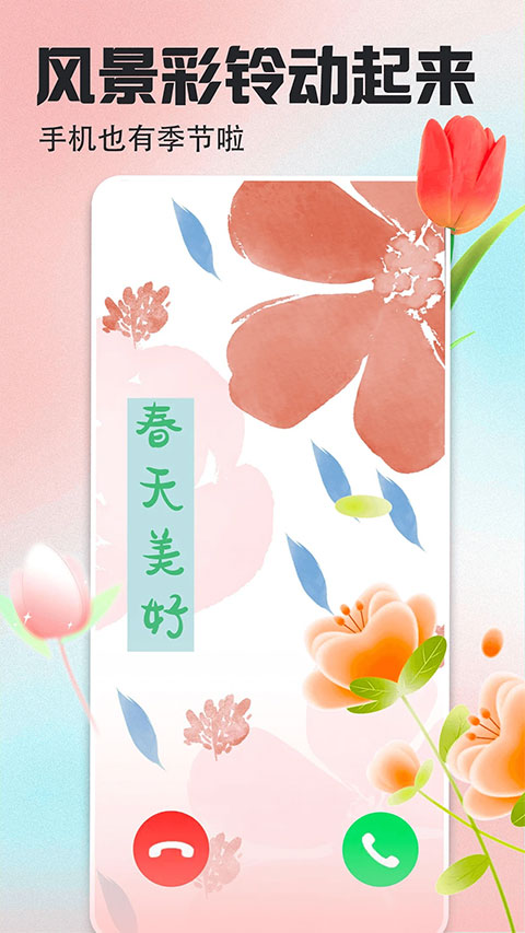 壁纸多多最新版截图4