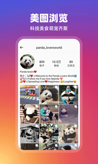 INS订阅器app截图2