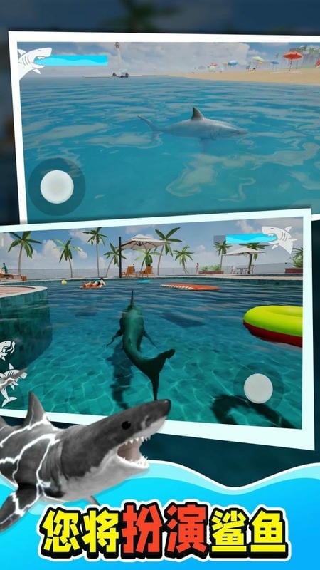 鲨鱼大猎杀游戏