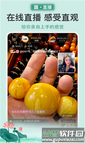 龘藏拍卖截图2