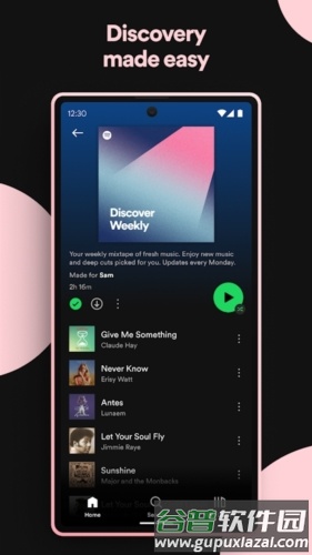 spotify2025最新版截图6