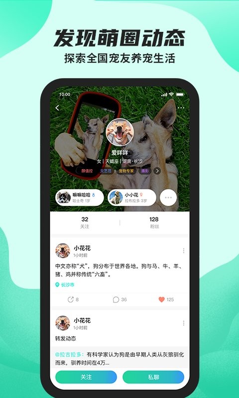 陌哈陌哈养宠截图1