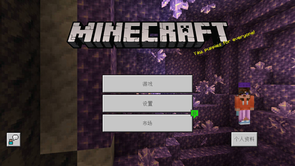 我的世界国际版2025最新版(Minecraft)