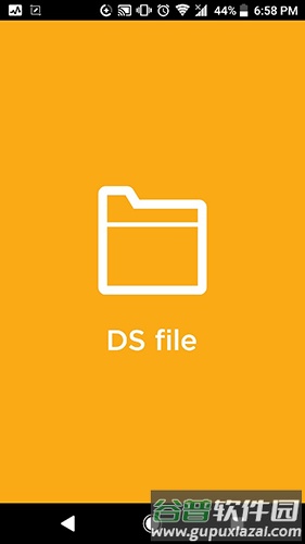 DS file截图1
