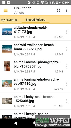 DS file截图2