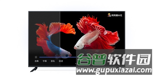 网易爆米花2