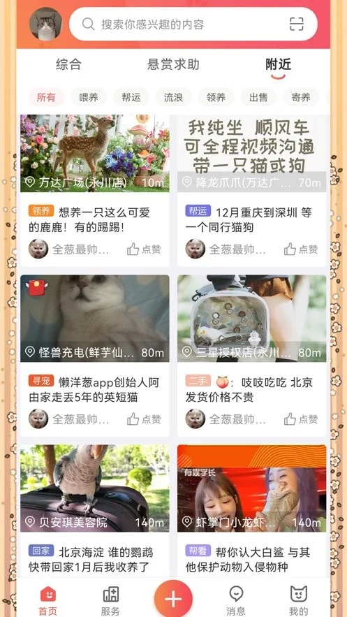 懒洋葱官方版截图1