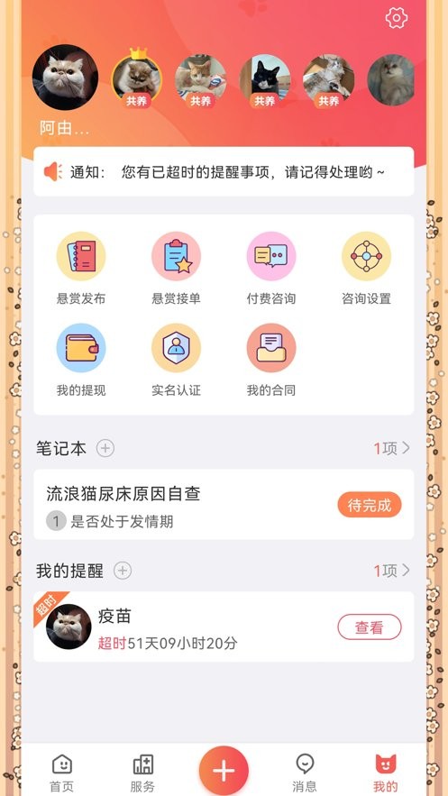 懒洋葱官方版截图2