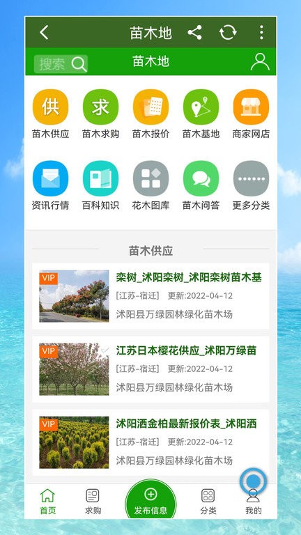 苗木地官方版