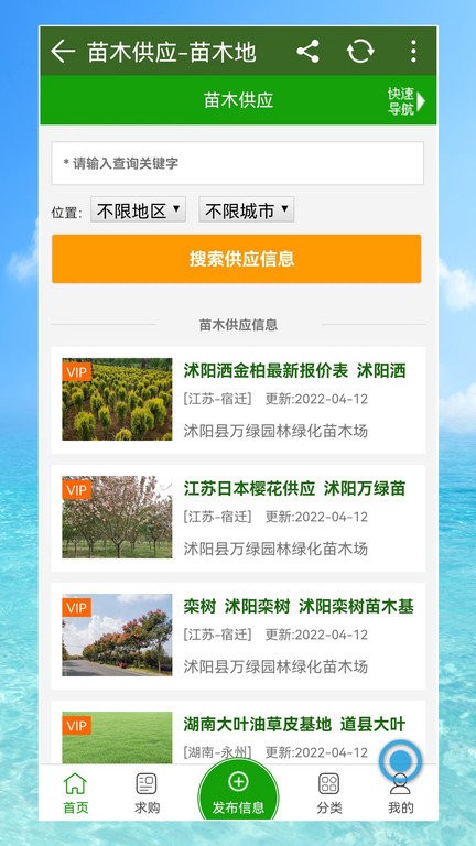 苗木地苗木网截图2