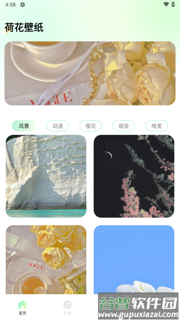 荷花壁纸手机壁纸
