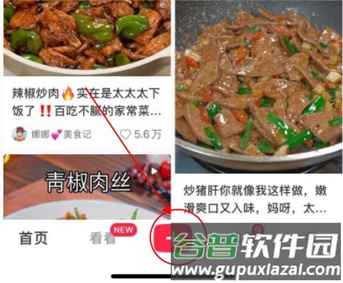 小红书2023版11