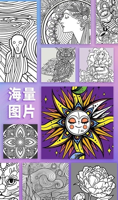 数字填色涂色绘本官方版