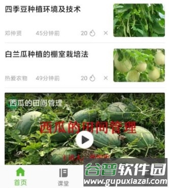 齐鲁乡村网络学院2