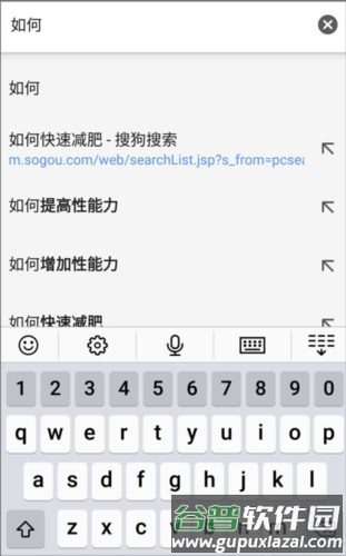 谷歌浏览器5