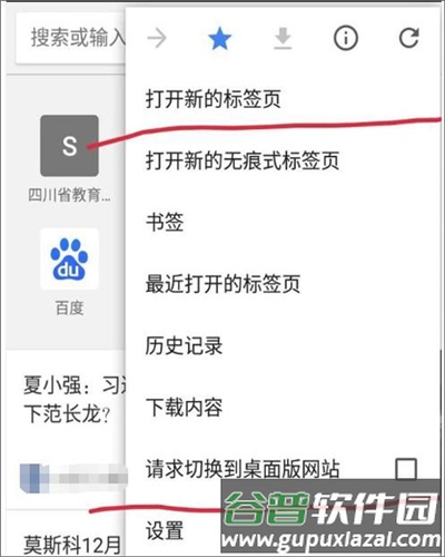 谷歌浏览器6