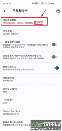 谷歌浏览器9