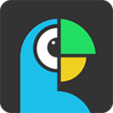 拍拍译appv4.8