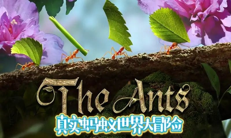 蚂蚁文托模拟器手机版截图3