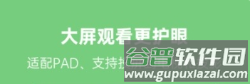 小八哥图片3