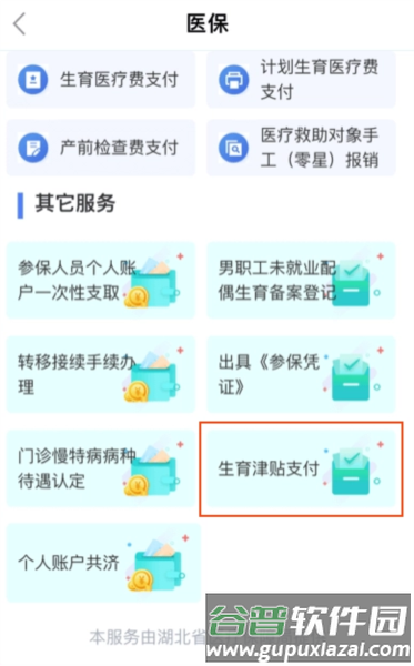 鄂汇办湖北健康码app8