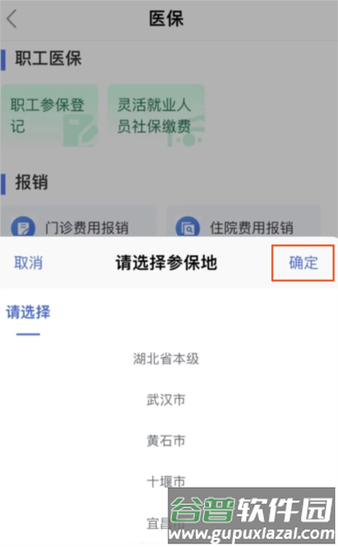 鄂汇办湖北健康码app9