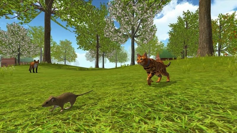 猫咪生存探险最新版截图3