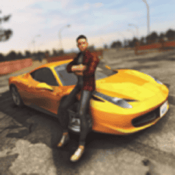 在线汽车驾驶无限金币版v1.2