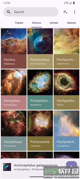 Phocid