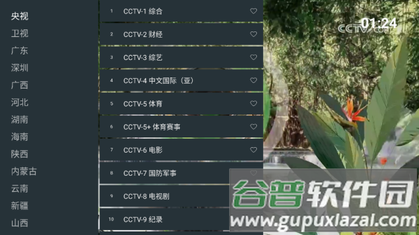 挺好电视直播