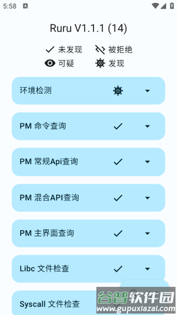 ruru环境检测最新版