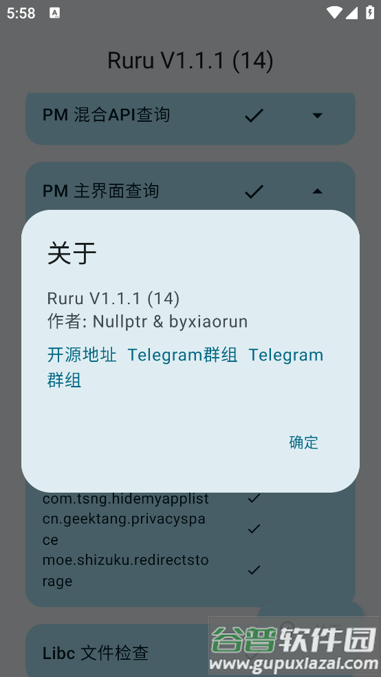 ruru环境检测最新版截图1