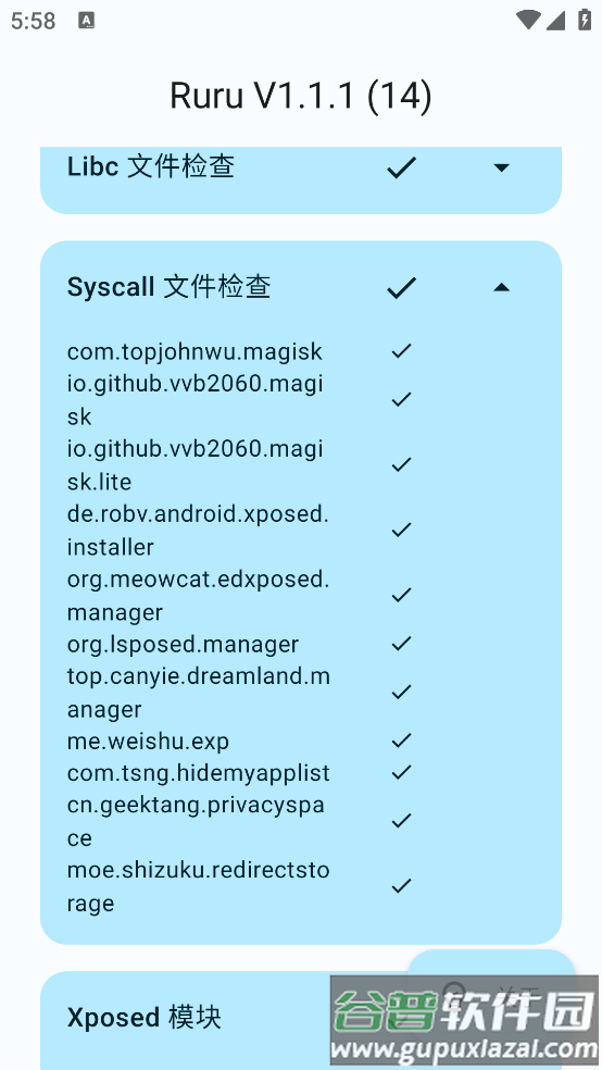 ruru环境检测最新版截图2