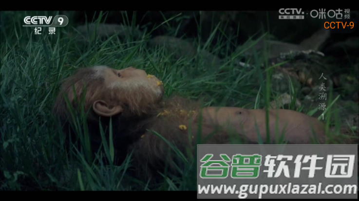 黯笙直播tv盒子版截图3