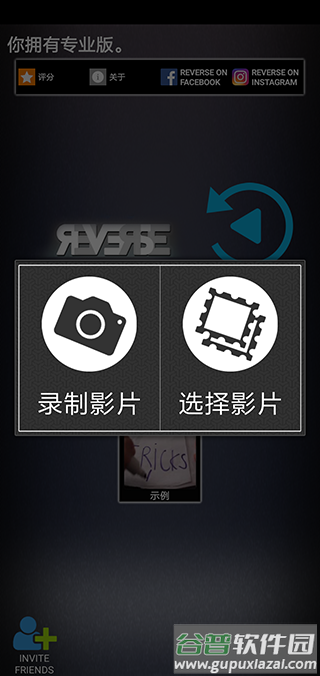 Reverse软件