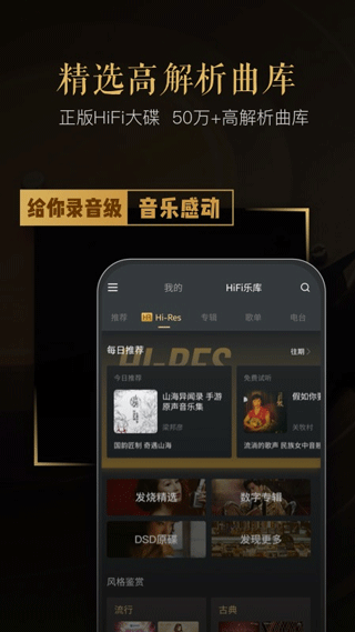 VIPER HiFi手机版截图3