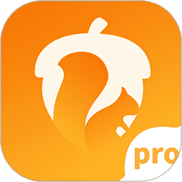 坚果隐藏pro版appv1.4.3