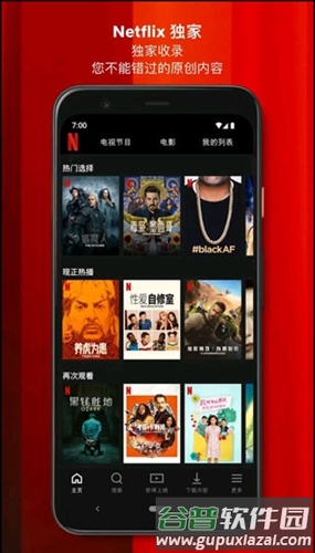 奈飞安卓app截图3