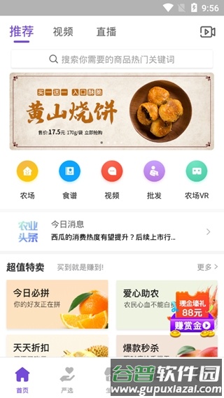 点筹网APP13