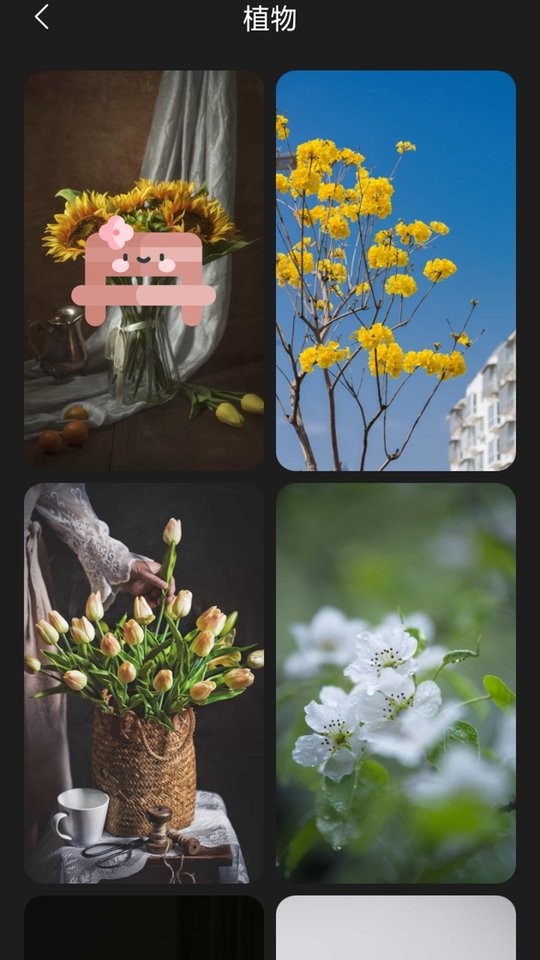布丁壁纸高清版截图1