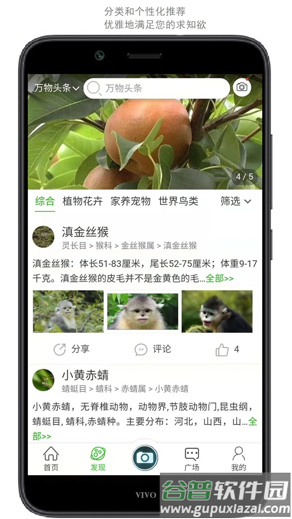 万物志软件截图2