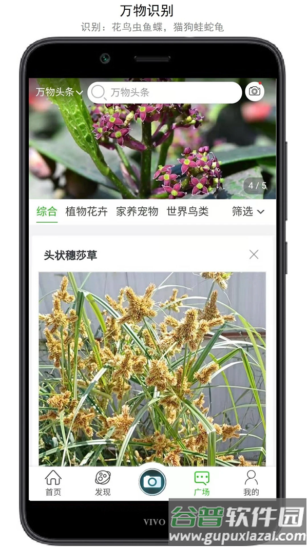 万物志软件截图3