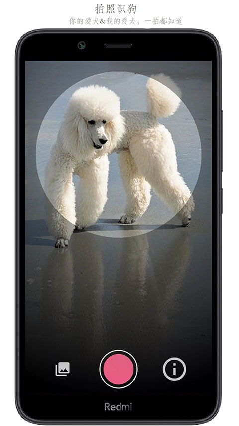 万物识别app截图3