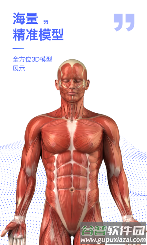 人体3d解剖图谱3d模型截图3