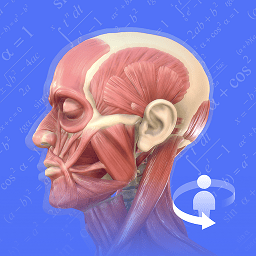 人体3d解剖图谱3d模型v2.4.2